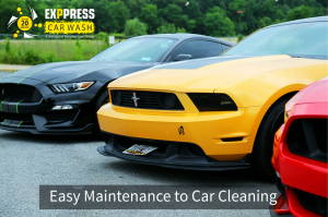 An Image of Easy Maintenance to Car Cleaning
